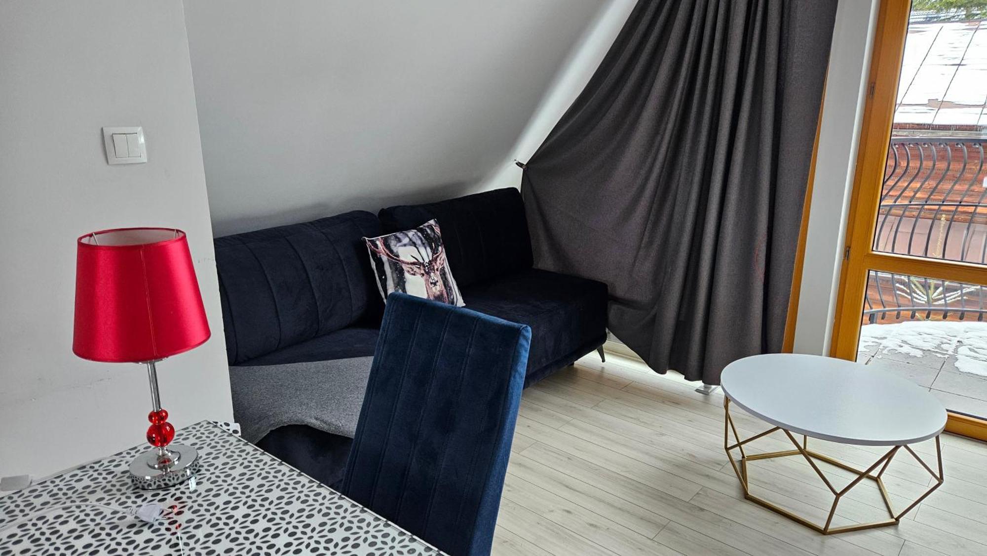 Apart4You Apartamenty Bory Sweet Time 扎科帕内 外观 照片